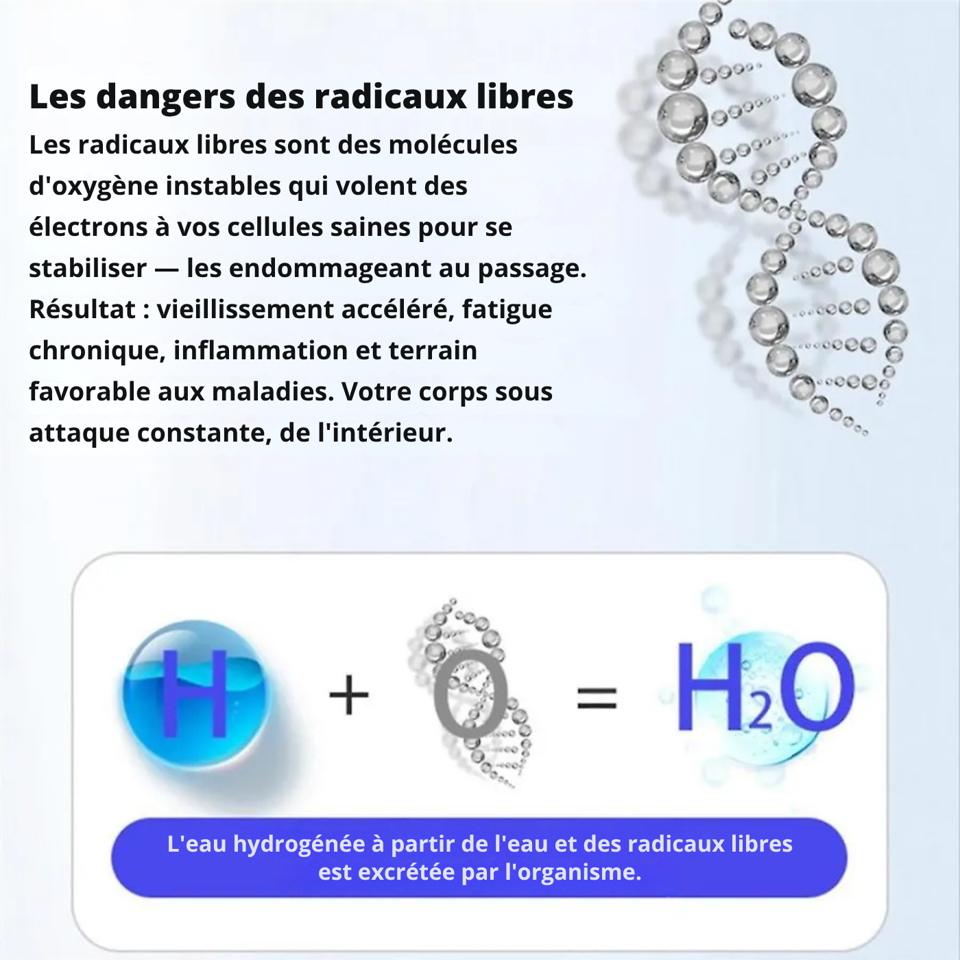 Hydrohealth – Bouteille d'eau hydrogénée
